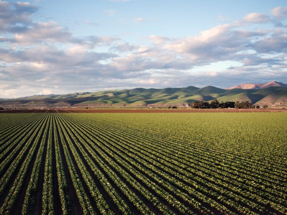 farming