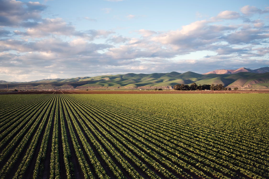 farming